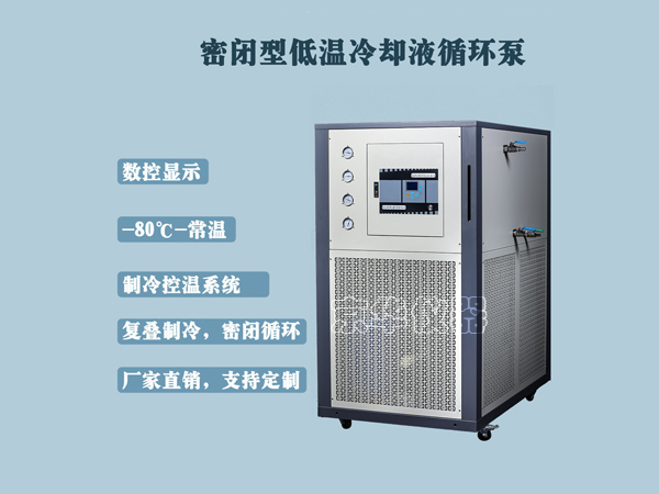 DLSB-5密閉型低溫冷卻液循環泵